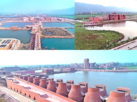 collage2-2-16448181794x3