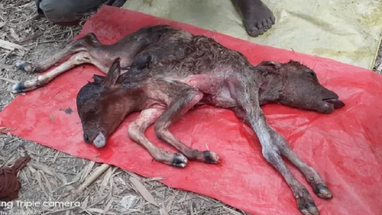 download-165823146899114710189739287501602img-20220719-wa0030-sixteen_nine