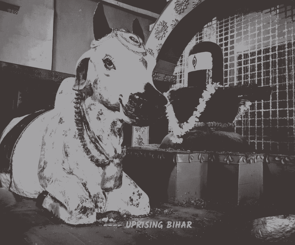 मलमास में भगवान शिव पर जलसेवा