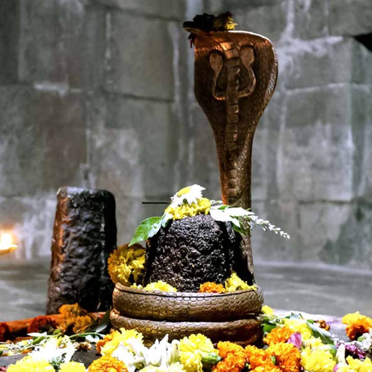 Offer White Flowers On Shivling