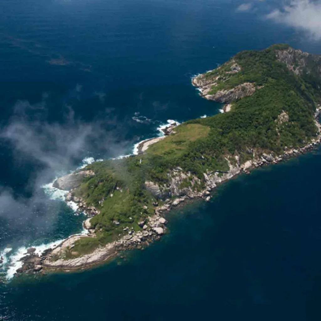 snake-island-in-brazil
