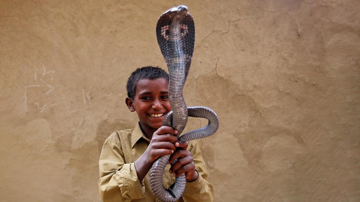 अनोखा गांव