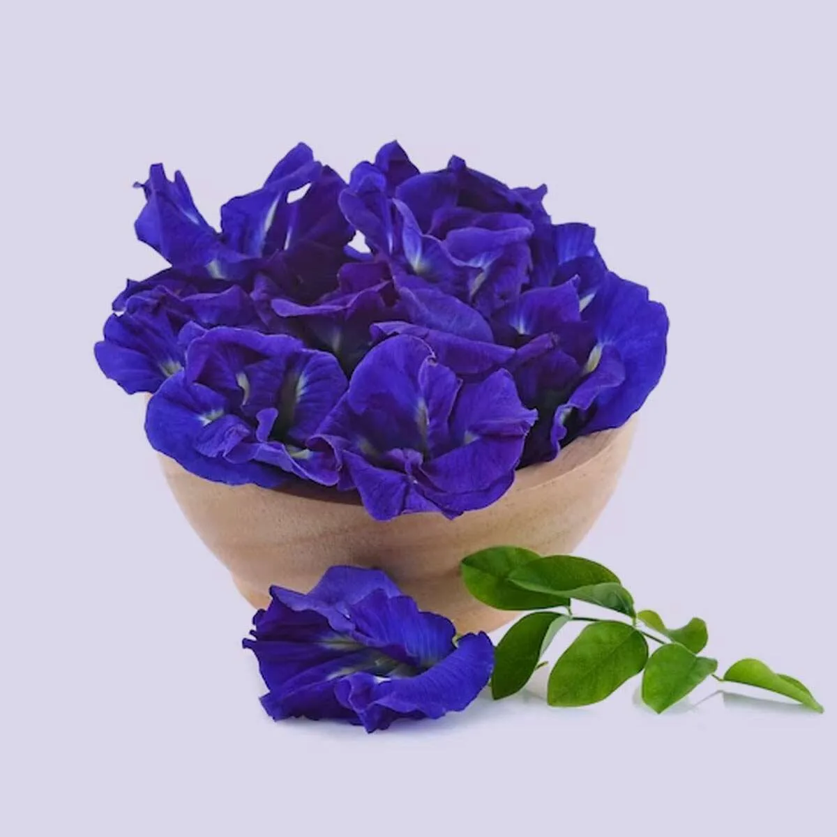 keeping-aprajita-flower