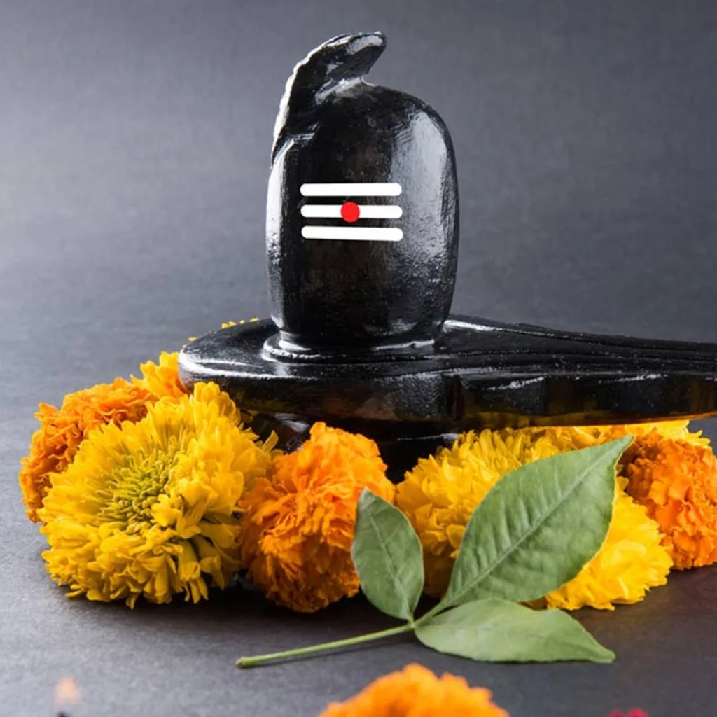 Offer camphor on Shivling
