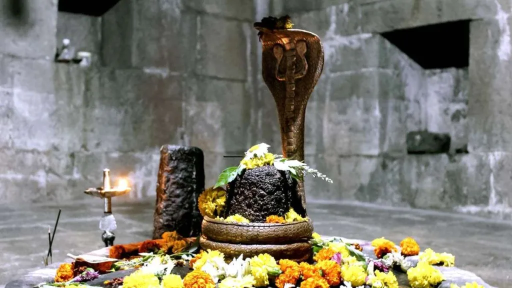Offer These Flowers On Shivling on Saturday