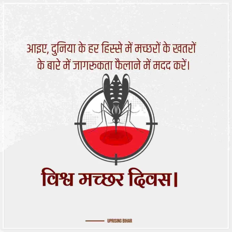 मच्छर से बचाव पोस्टर