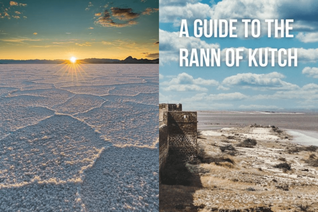 गुजरात में घूमने के लिए शीर्ष 10 स्थान