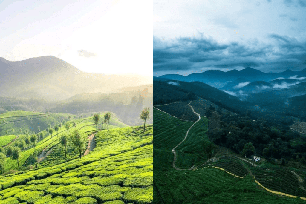 केरल में घूमने के लिए शीर्ष 10 स्थान: top 10 tourist places in Kerala