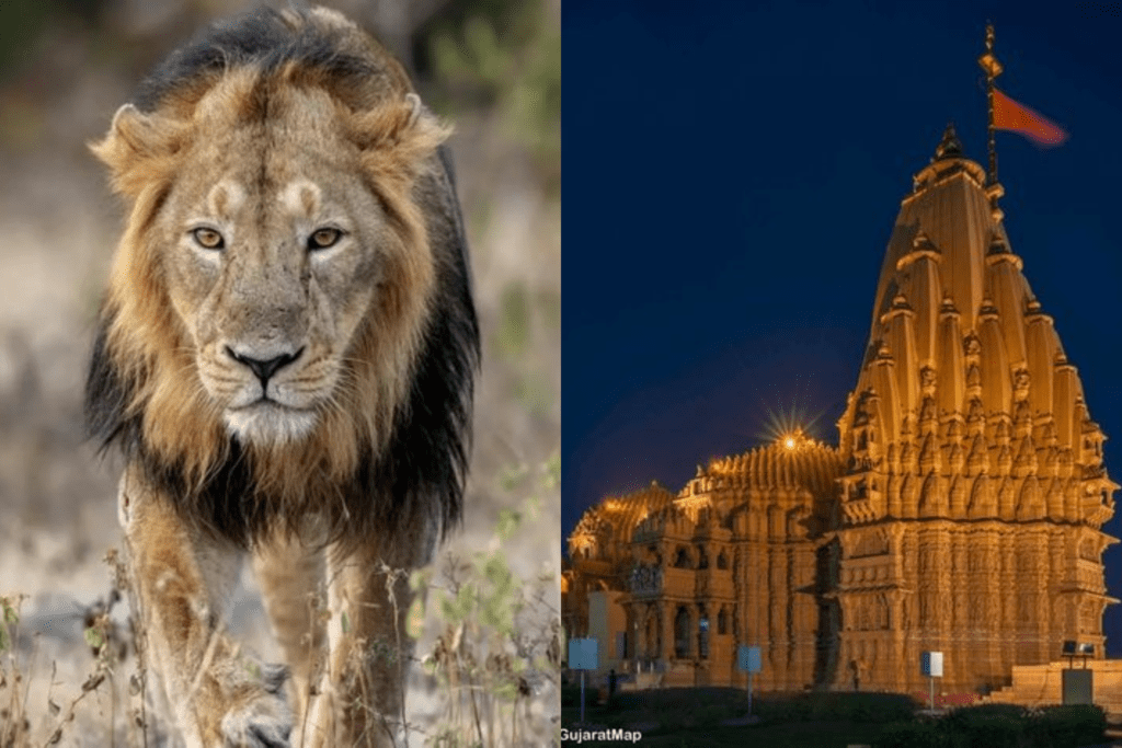 गुजरात में घूमने के लिए शीर्ष 10 स्थान
