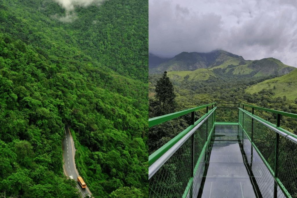 केरल में घूमने के लिए शीर्ष 10 स्थान: top 10 tourist places in Kerala