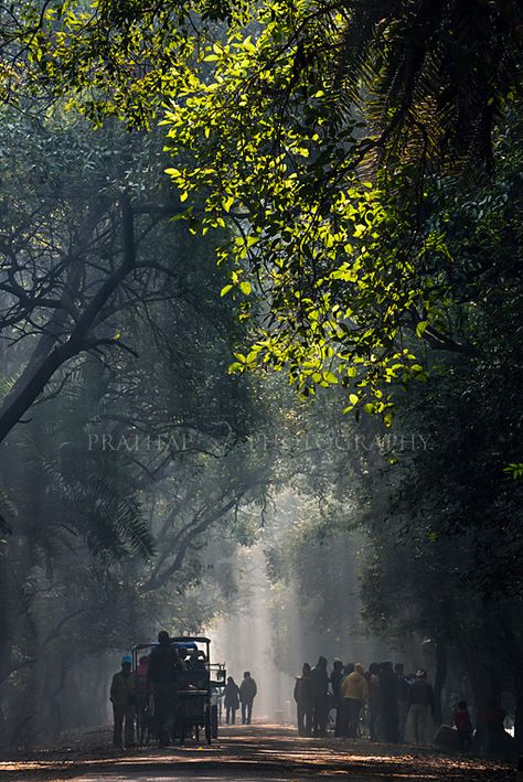 पंजाब में घूमने के लिए शीर्ष 10 स्थान: Must visit tourist places in Punjab