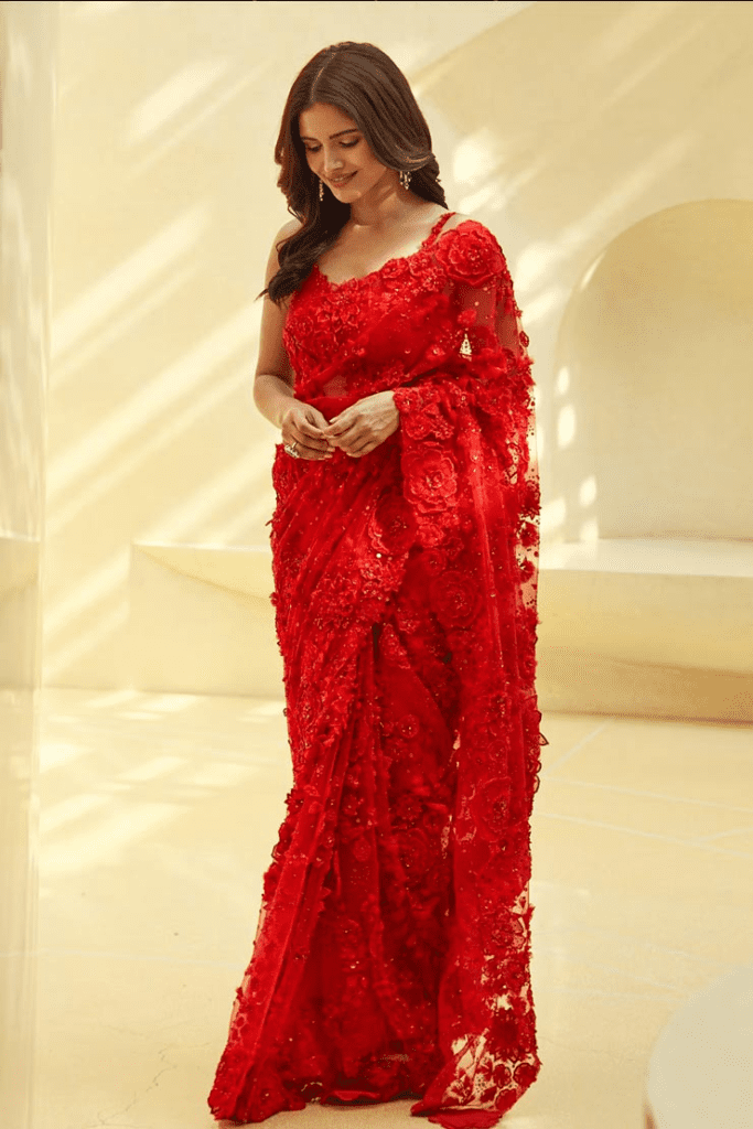 फैंसी साड़ी डिजाइन फोटो