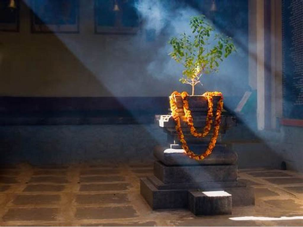 tulsi pooja 2025